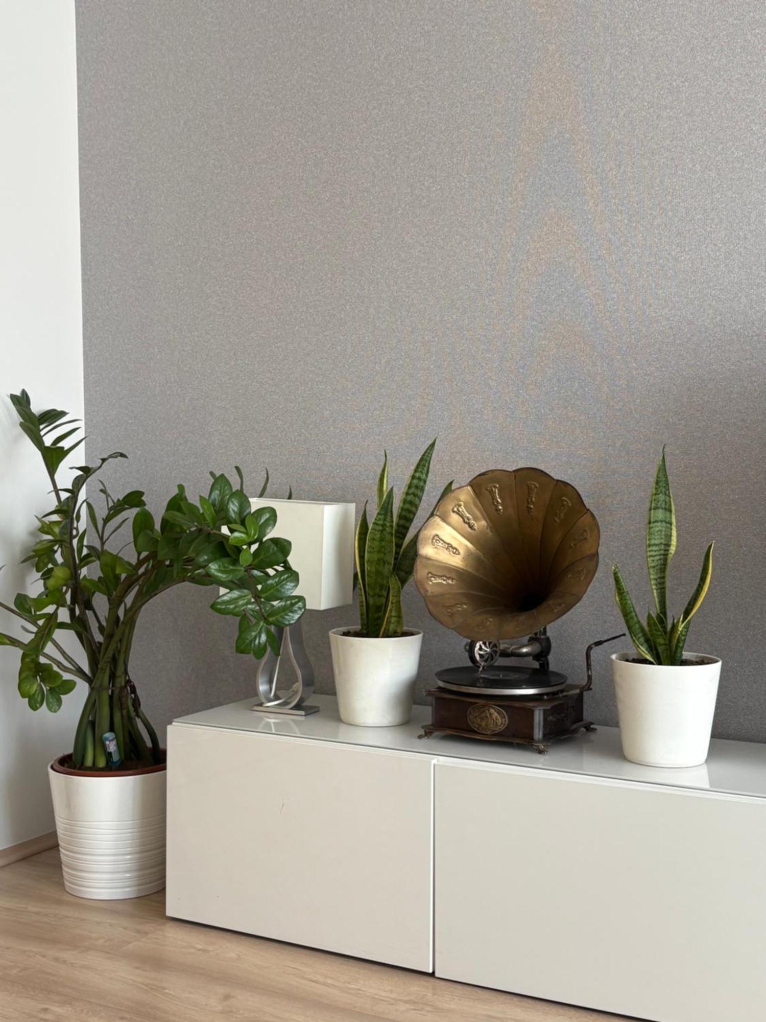 Apartament Szentalom