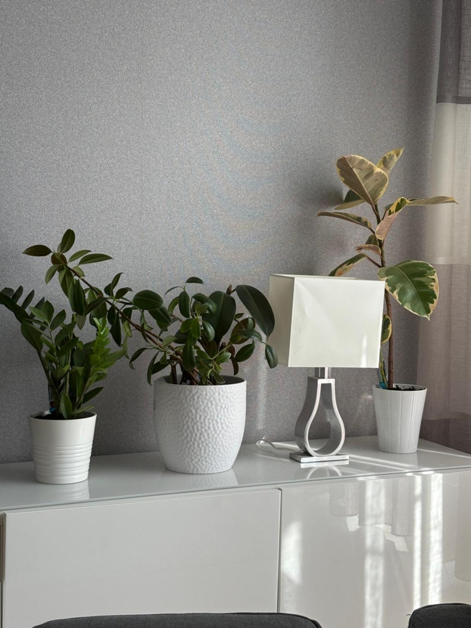 Szentalom Apartament